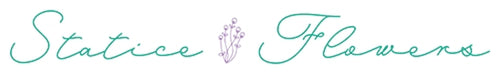 Statice Flowers & Events